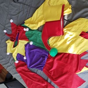 Jester Halloween costume